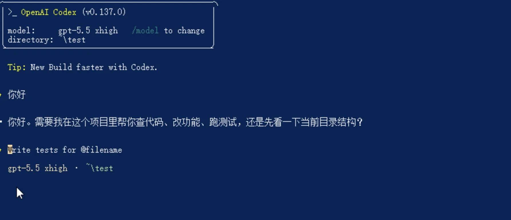 在 PowerShell 中运行 codex